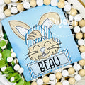 2725 - BOY BUNNY WITH CAP - APPLIQUE CHILD SHIRT