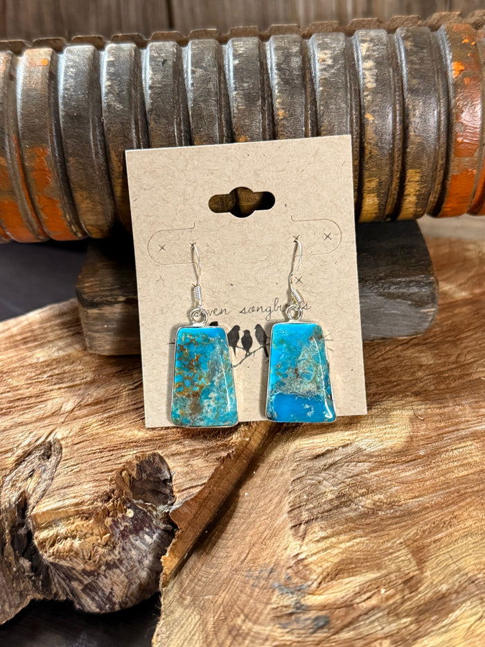Turquoise slab fishhook earrings with silver-tone hooks and speckled blue stone faces
