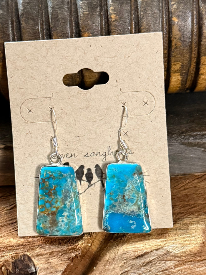 Pair of turquoise slab fishhook earrings, silver-tone hooks, rectangular speckled insets