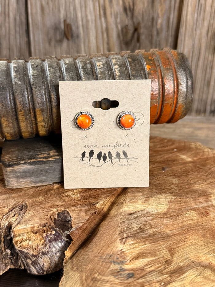 Orange spiny oyster stud earrings, round orange cabochons in silver-tone bezel, on card