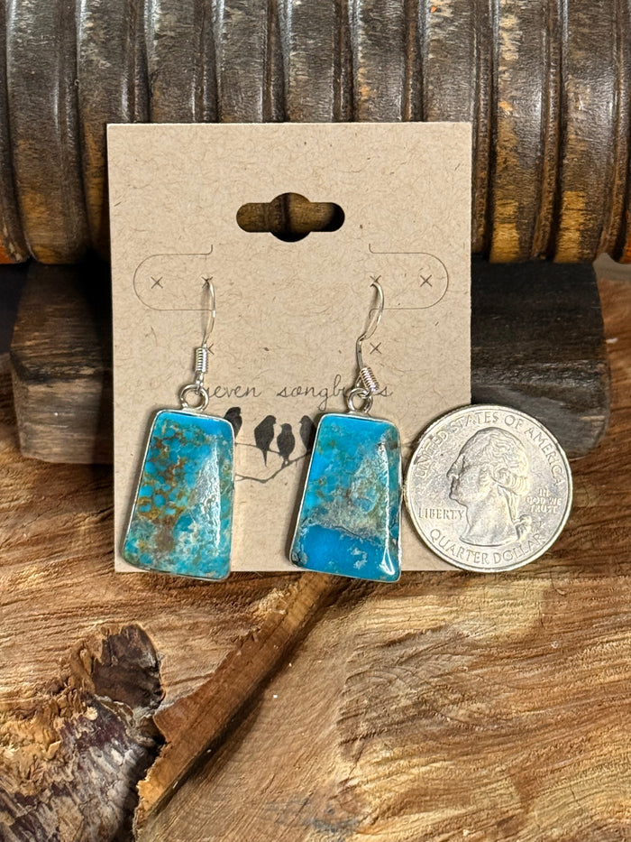 Turquoise slab fishhook earrings with silver-tone hooks, rectangular blue speckled stones