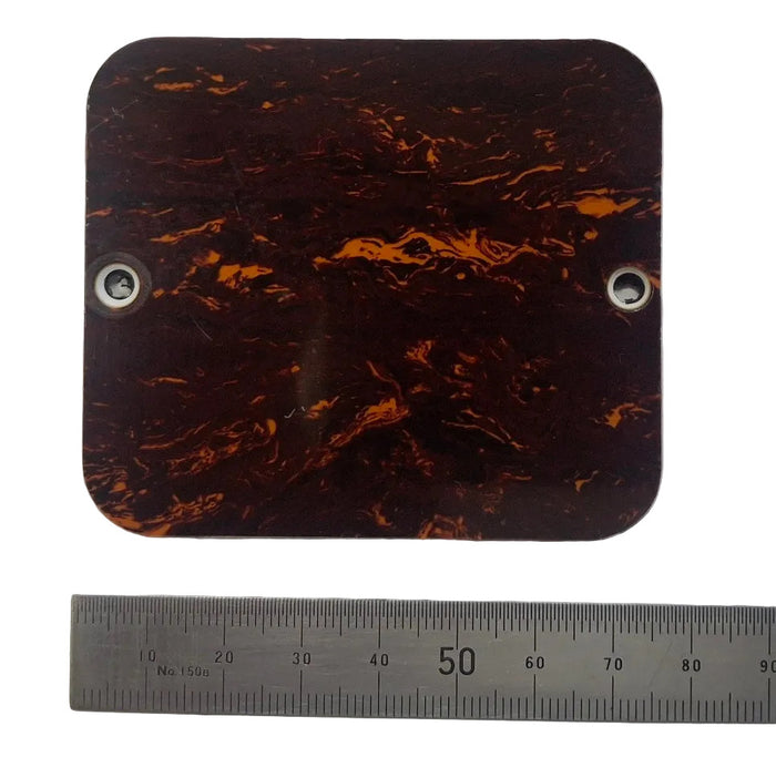 Bass Battery Cover Plate