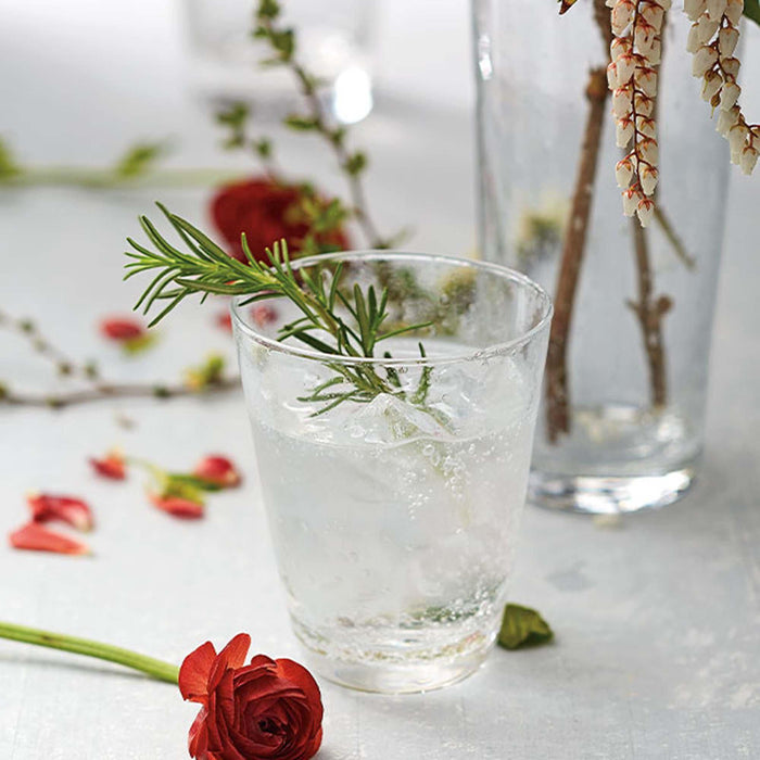 Bellini Tumbler Glass-Glassware-|-Mariposa