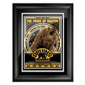 sports_decor, framed_banner