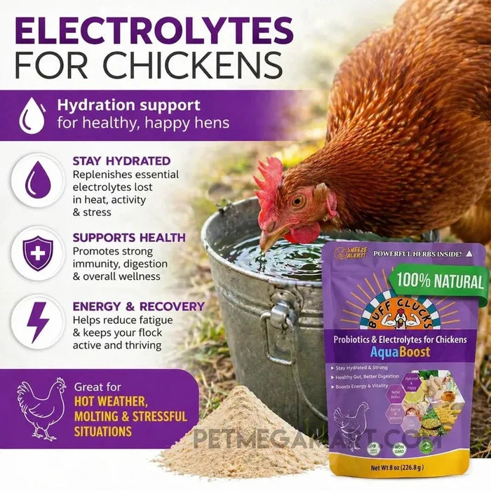 Buff Clucks AquaBoost - Chicken Electrolytes