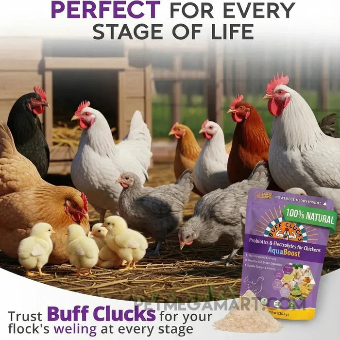 Buff Clucks AquaBoost - Chicken Electrolytes