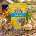 Buff Clucks ChickStrong fine-cut herbal supplement for baby chicks in a yellow resealable pouch