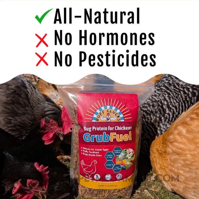 Buff Clucks GrubFuel - Soldier Fly Larvae for Chickens