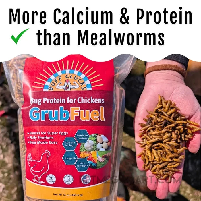 Buff Clucks GrubFuel - Soldier Fly Larvae for Chickens