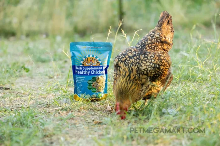 Buff Clucks Herb Supplement - Herbs for Chickens