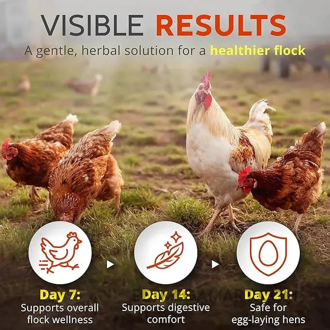 Buff Clucks WormStop Natural Dewormer for Chickens