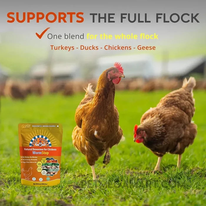 Buff Clucks WormStop Natural Dewormer for Chickens