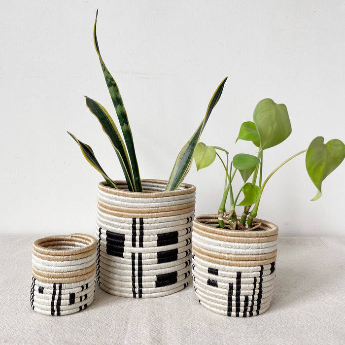 Busengo Basket Planters