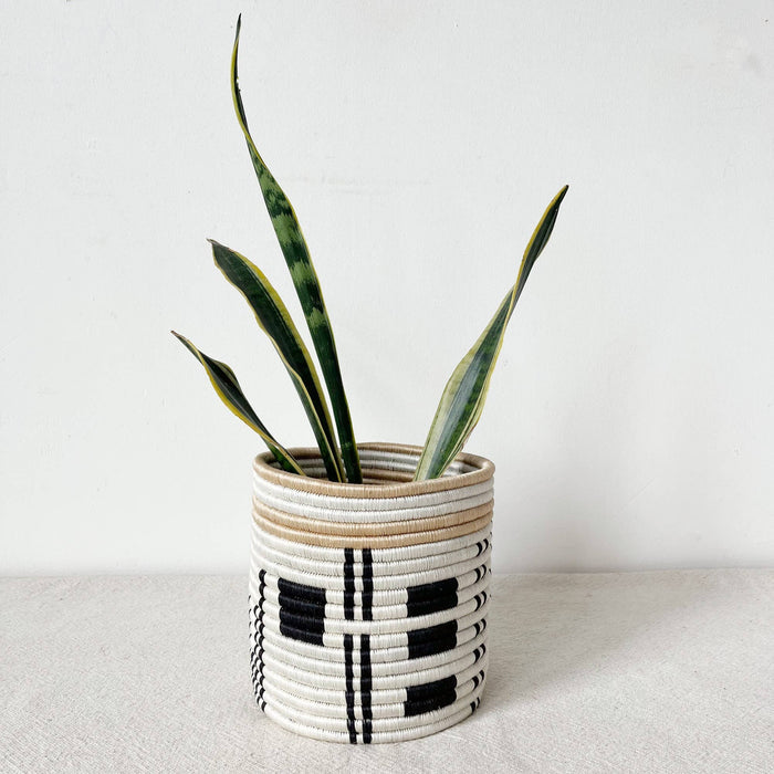 Busengo Basket Planters