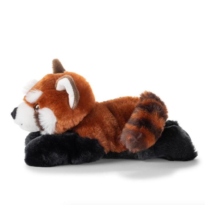 Close-up of Earth Keeperz red panda plush face showing detailed hand-embroidered amber eye and soft white and brown markings