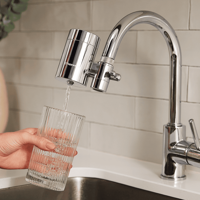 Person holding a glass under a kitchen faucet with a water filter attachment.