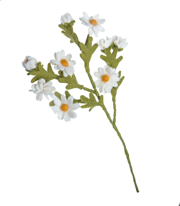 Felt Chamomile Flowers