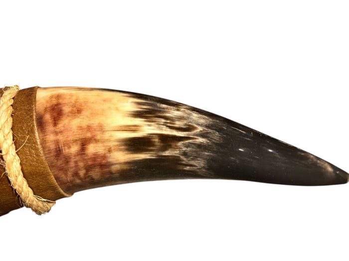 Genuine Steer Horn Mount