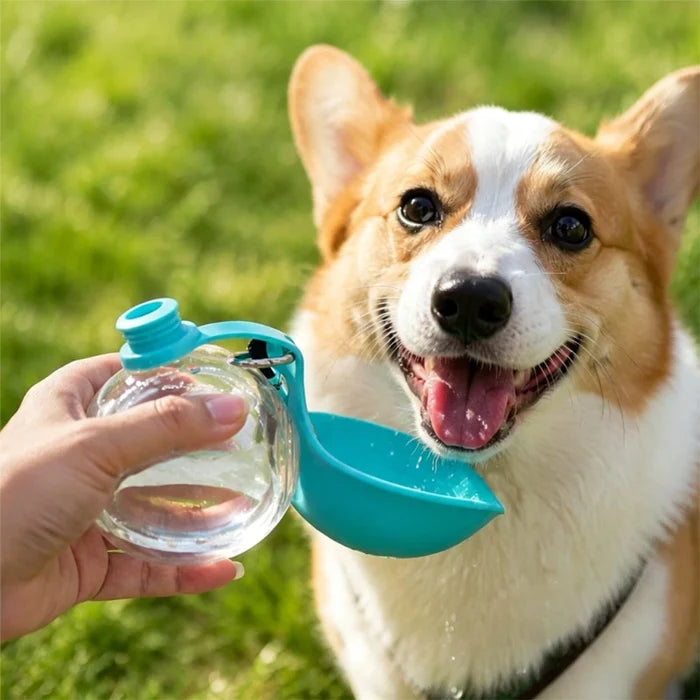 H2Dog Hydrate | Portable Dog Water Bottle & Travel Dispenser