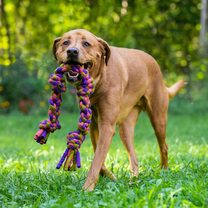 Knotted Rope Dog Toy