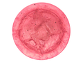 pink circular soap withi black seeds and witch baby logo on top