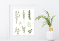 Margareta Csiszar 8x10 Prints