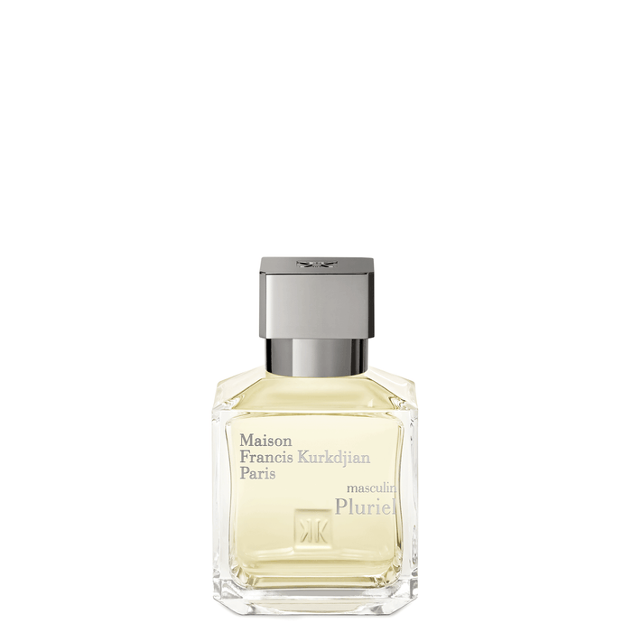 masculin Pluriel