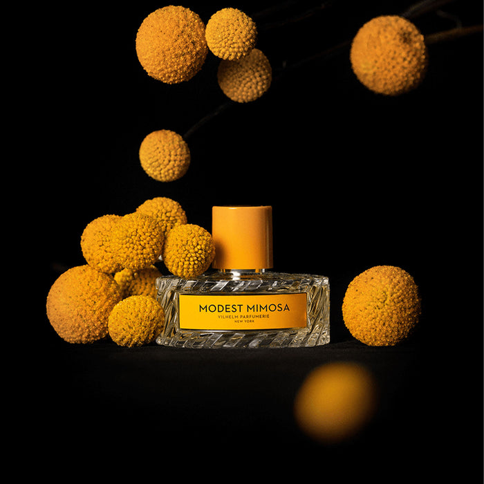 Modest Mimosa