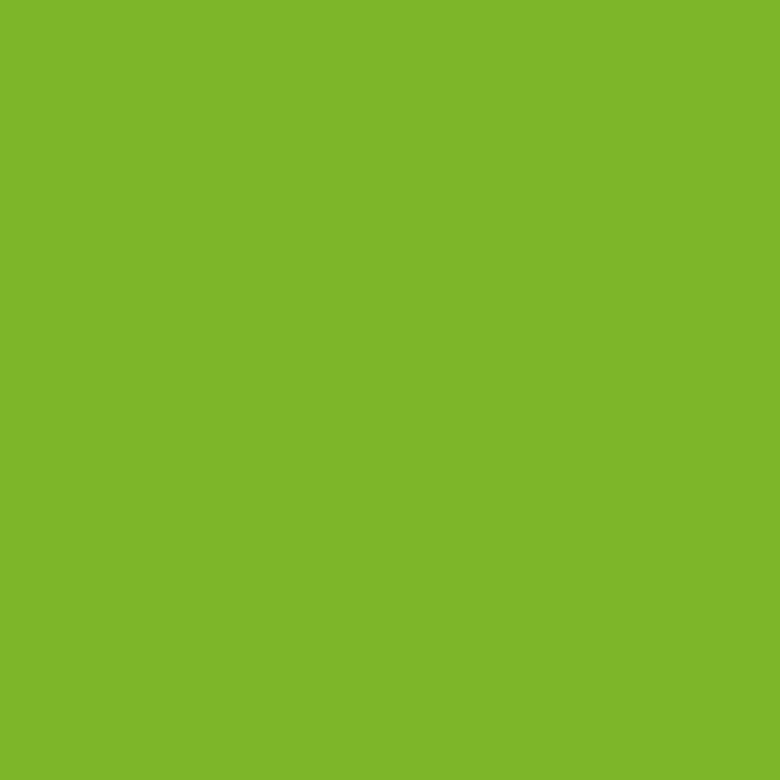 Montana - Acrylic Paint Refill 180ml - Shock Green Light
