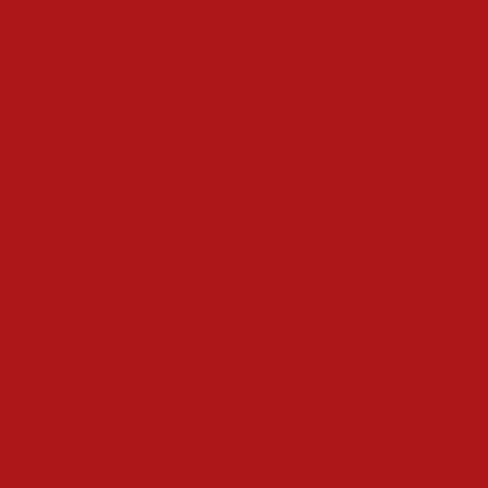 Montana - Acrylic Paint Refill 180ml - Shock Kent Blood Red