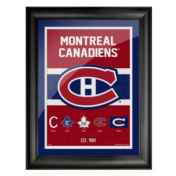 sports_decor, framed_banner