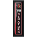 Ottawa Senators 6x22 Established Frame