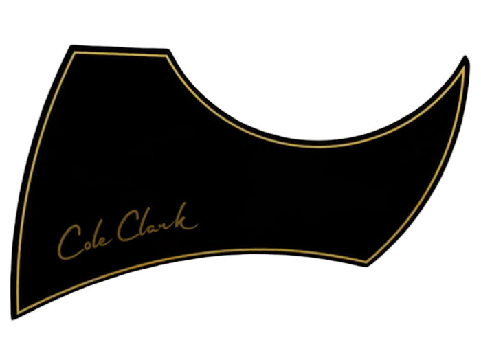 Pick Guard - FL3 Series in Black