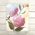 Pink Hydrangea DIY Painting Kit