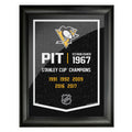 sports_decor, framed_banner