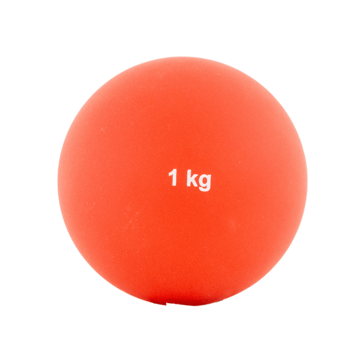 1kg
