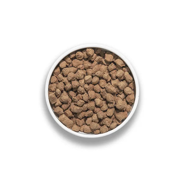 Bowl of RAWBBLE Beef Recipe for Dogs, showing freeze-dried, bite-sized brown nuggets suitable as a complete meal or a meat-boosting topper.