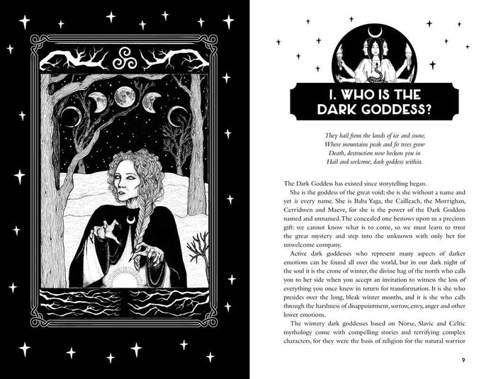 Reclaim your Dark Goddess by Flavia Kate Peters