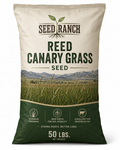 Reed Canary Grass Seed (Raw) - Seed World