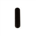 Replacement Hinge Bolt for Starting Blocks