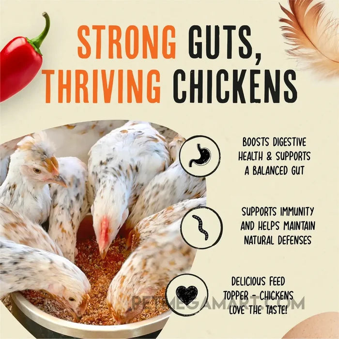 Roosty’s Flock Armor Daily Worm Defense & Gut Support