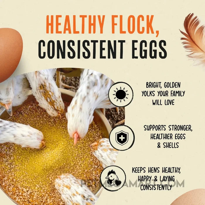 Roostys Gold Dust - Daily Egg Booster