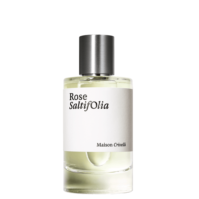 Rose Saltifolia