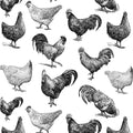 Sanbao Underglaze Chicken
