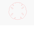 Sand Dollar