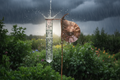 Snail rain gauge collecting rainwater