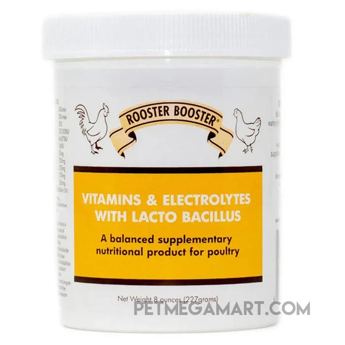 Vitamins & Electrolytes with Lactobacillus
