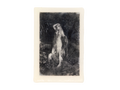 image soap of a witch by a well shedding her skin