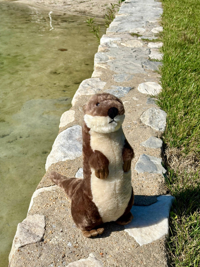 Wild Onez river otter plush standing upright on a stone ledge beside a clear shallow stream with green grass in the background, outdoor natural light